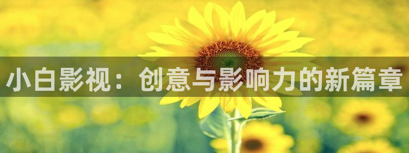宅宅秋霞影院：小白影视：创意与影响力的新篇章