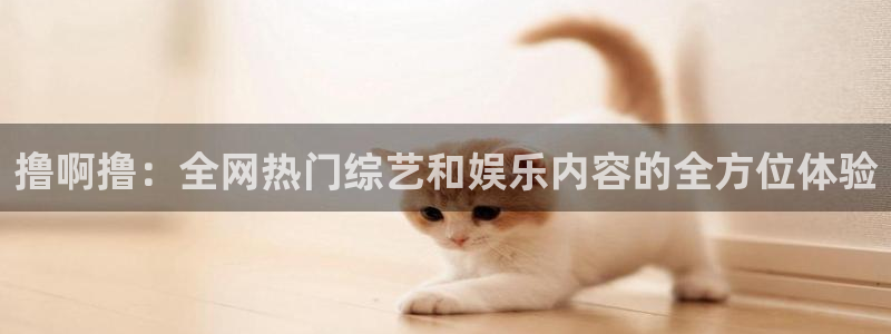 秋霞电影网手机看片：撸啊撸：全网热门综艺和娱乐内容的全方位体验