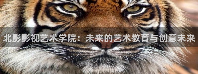 秋霞电影国产伦理：北影影视艺术学院：未来的艺术教育与创意未来